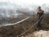 Кому выгодно постоянно поджигать леса во Владимирской области?