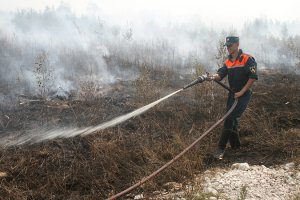 Кому выгодно постоянно поджигать леса во Владимирской области?