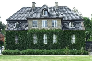 Фасад дома из растений