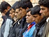 Турецкоподданные уличены в привлечении нелегальных мигрантов