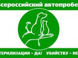 Автопробег для животных – очередное доказательство потенциала Владимирской области